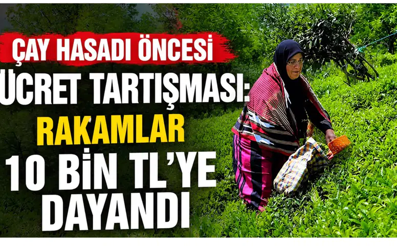 Çay Hasadı Öncesi Ücret Tartışması: Rakamlar 10 Bin TL’ye Dayandı