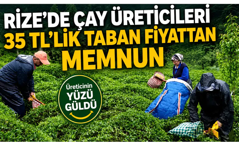 Rize’de Çay Üreticileri 35 TL’lik Taban Fiyattan Memnun