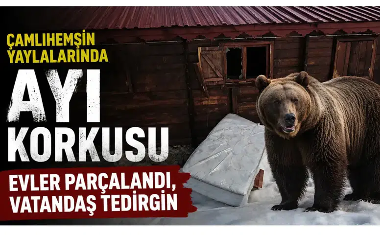 Çamlıhemşin Yaylalarında Ayı Korkusu: Evler Parçalandı, Vatandaş Tedirgin