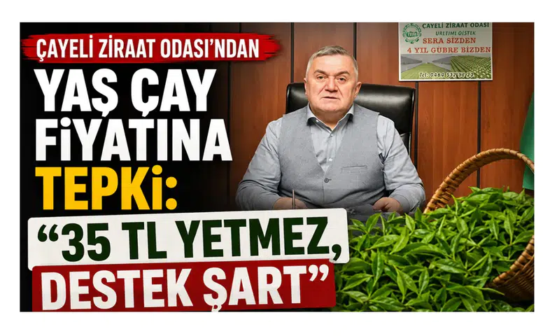 Çayeli Ziraat Odası’ndan Yaş Çay Fiyatına Tepki: 35 TL Yetmez, Destek Şart