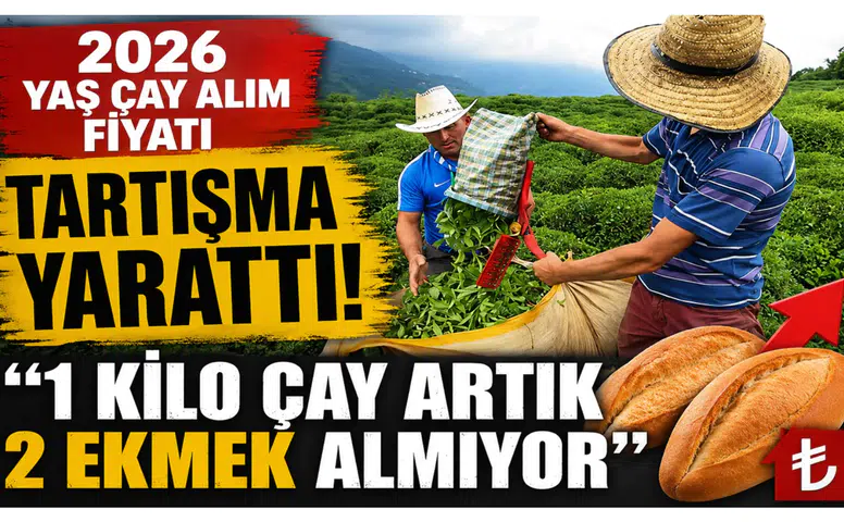 2026 Yaş Çay Alım Fiyatı Tartışma Yarattı: 1 Kilo Çay Artık 2 Ekmek Almıyor