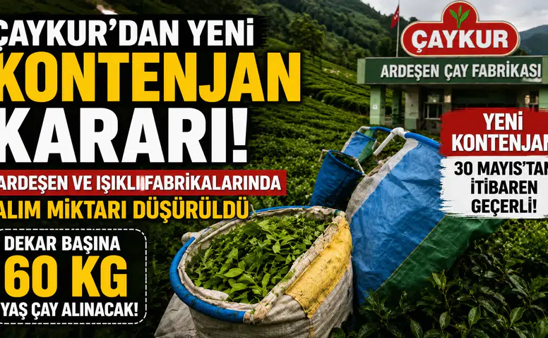 ÇAYKUR'dan Yeni Kontenjan Kararı! Ardeşen ve Işıklı Fabrikalarında Alım Miktarı Düşürüldü