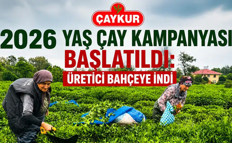 ÇAYKUR 2026 Yaş Çay Kampanyasını Başlattı: Üretici Bahçeye İndi