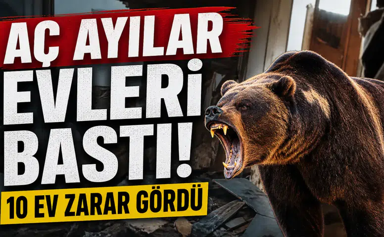 Aç Ayılar Evleri Bastı, 10 Ev Zarar Gördü