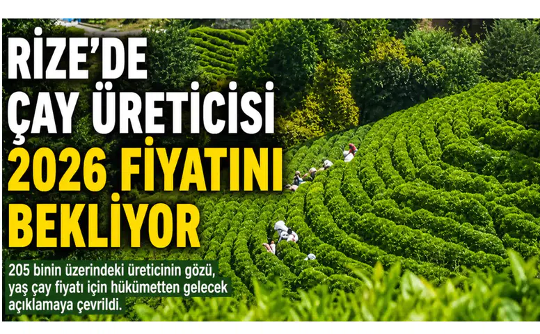 Rize’de Çay Üreticisi 2026 Fiyatını Bekliyor