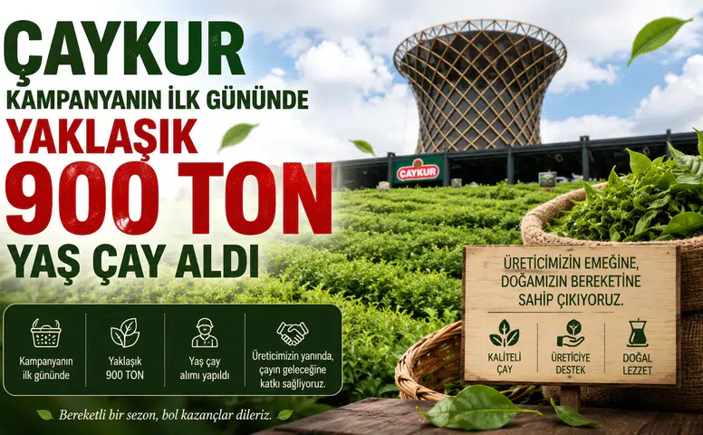 ÇAYKUR Genel Müdürü: 2026 yaş çay kampanyası 900 ton alımla başladı!