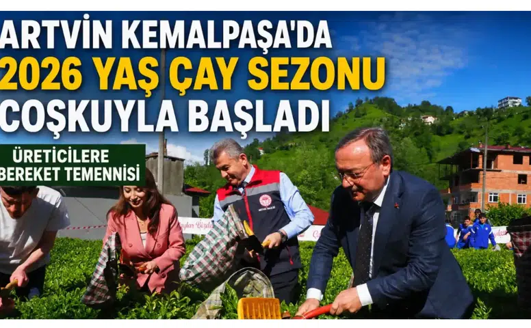 Artvin Kemalpaşa’da 2026 Yaş Çay Sezonu Coşkuyla Başladı: Üreticilere Bereket Temennisi