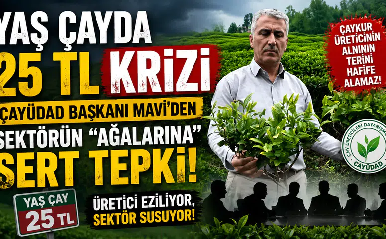 ÇAYKUR kontenjan uygulaması tartışmaları alevlendi: "Üreticinin emeği heba oluyor!"