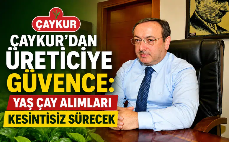 ÇAYKUR’dan Üreticiye Güvence: Yaş Çay Alımları Kesintisiz Sürecek