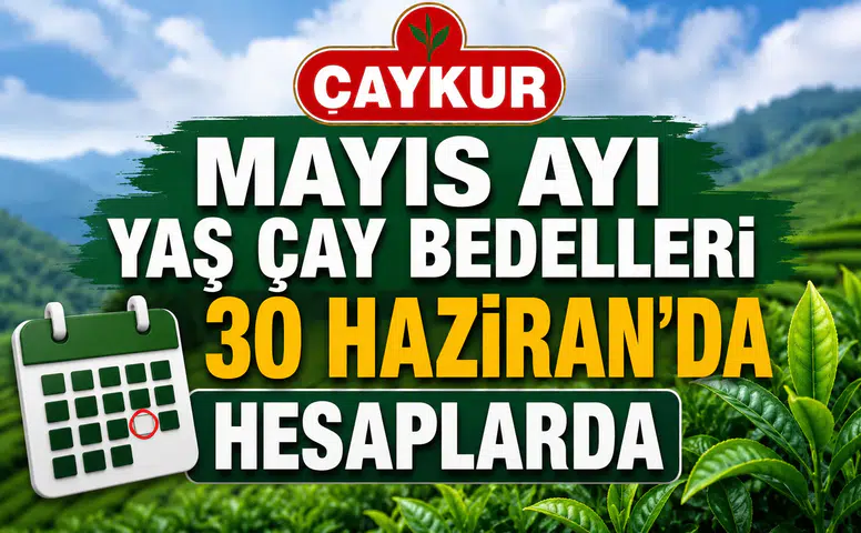 Mayıs Ayı Yaş Çay Bedelleri 30 Haziran'da Hesaplarda