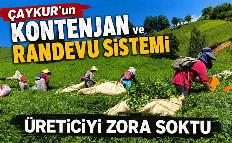ÇAYKUR’un Kontenjan ve Randevu Sistemi Üreticiyi Zora Soktu