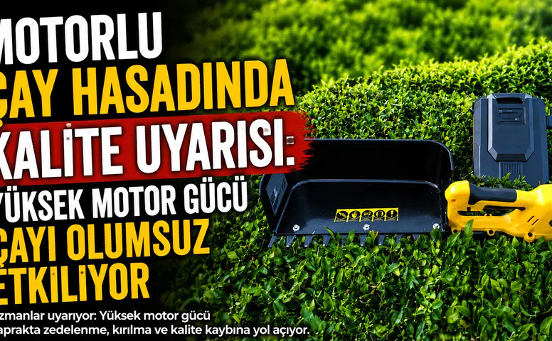 Çay Kalitesini Düşüren Makinelere Dikkat: Uzman Motor Güçlerini Gözden Geçirin Uyarısında Bulundu!