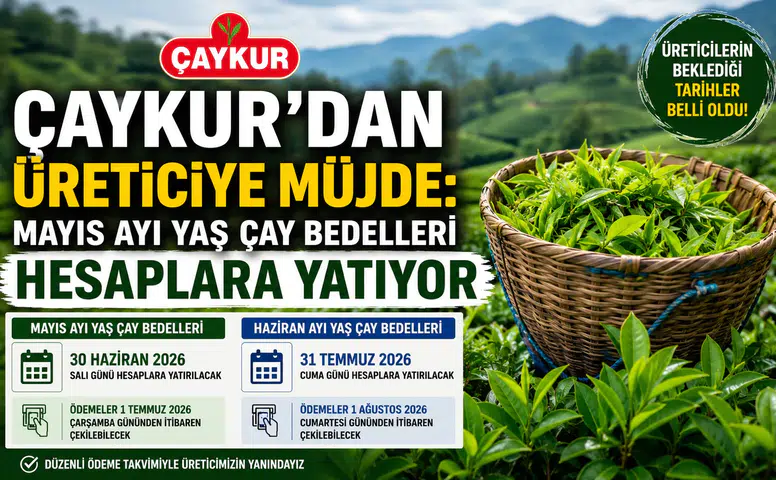 ÇAYKUR Mayıs Ayı Yaş Çay Bedellerini Bugün Hesaplara Yatırıyor