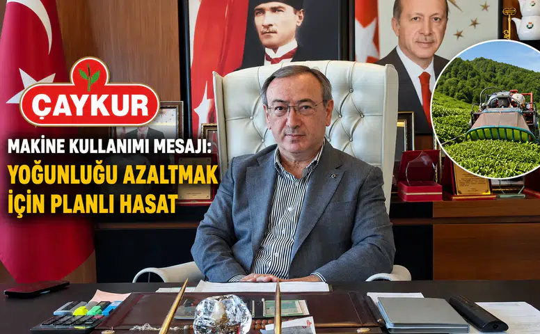ÇAYKUR'dan Makine Kullanımı Mesajı: Yoğunluğu Azaltmanın Yolu Planlı Hasat
