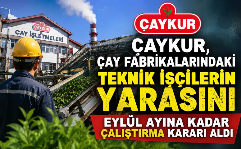 Çaykur, Çay Fabrikalarındaki Teknik İşçilerin Yarasını Eylül Ayına Kadar Çalıştırma Kararı Aldı
