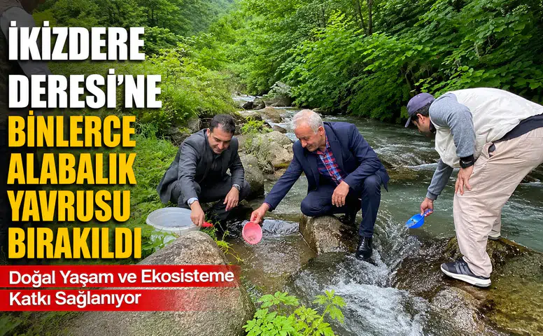 İkizdere Deresi'ne Binlerce Alabalık Yavrusu Bırakıldı