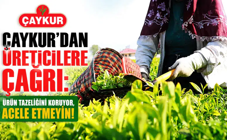 ÇAYKUR'dan üreticilere hasat uyarısı: Acele etmeyin, tazelik koruma önceliği!