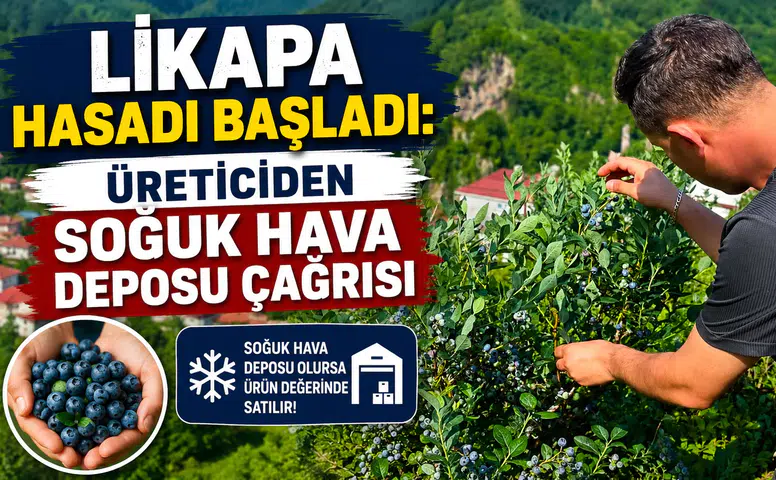 Likapa Hasadı Başladı: Üreticiden Soğuk Hava Deposu Çağrısı