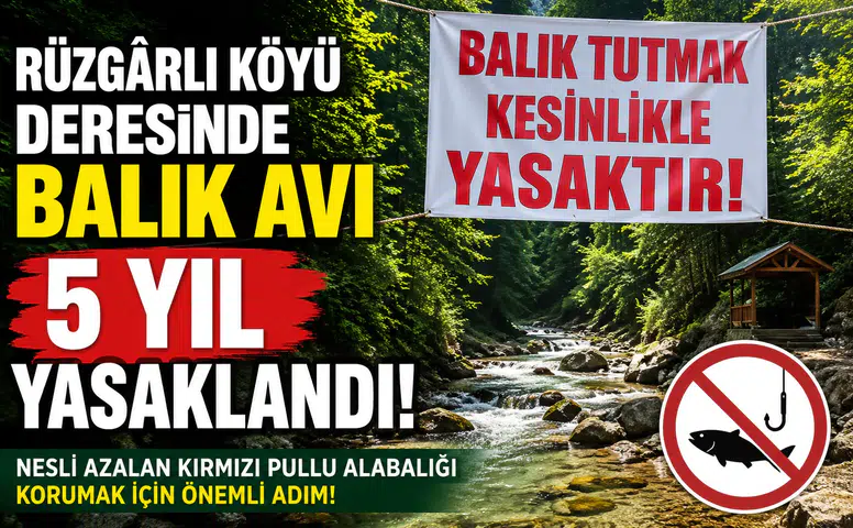 Rüzgârlı Köyü Deresinde Balık Avı 5 Yıl Yasaklandı