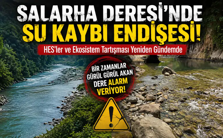 Salarha Deresi'nde Su Kaybı Endişesi: HES'ler ve Ekosistem Tartışması Yeniden Gündemde