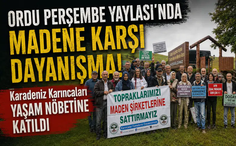 Ordu Perşembe Yaylası'nda Madene Karşı Dayanışma: Karadeniz Karıncaları Yaşam Nöbetine Katıldı