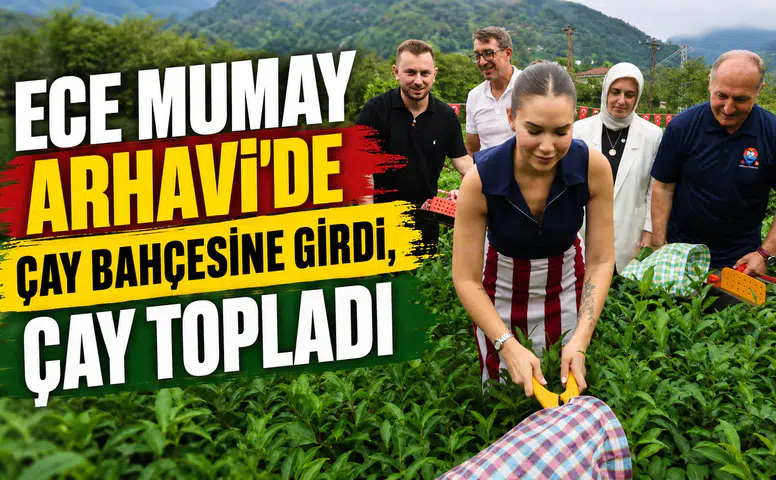 Ece Mumay Arhavi’de Çay Bahçesine Girdi, Çay Topladı