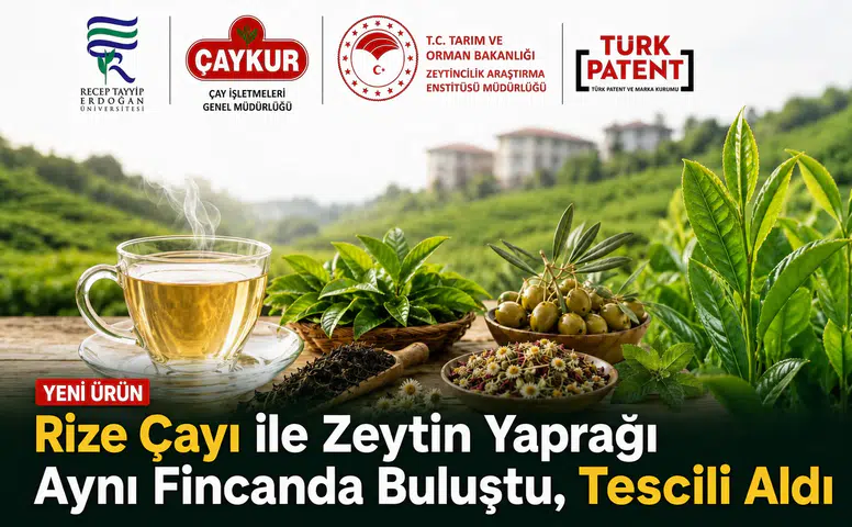 Rize Çayı ile Zeytin Yaprağı Aynı Fincanda Buluştu: Yeni Fonksiyonel Çay Tescillendi