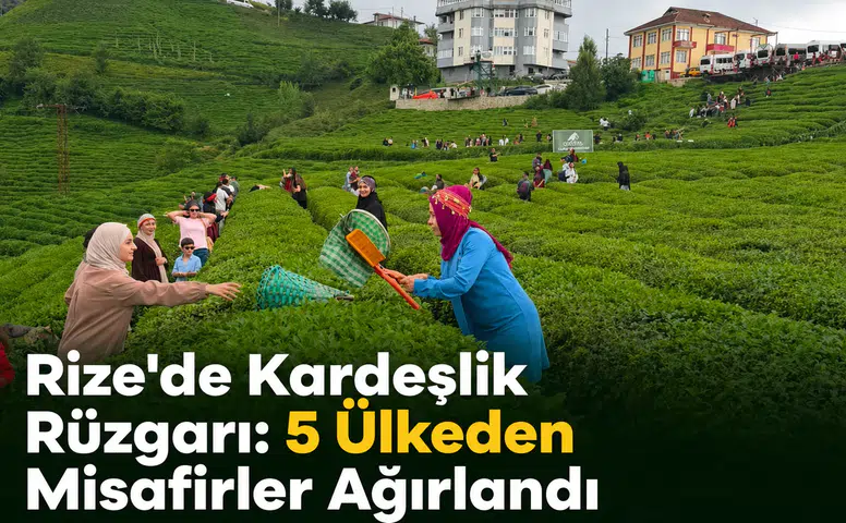 Rize’de Kardeşlik Rüzgârı: 5 Ülkeden Gelen Gençler Çay Topladı