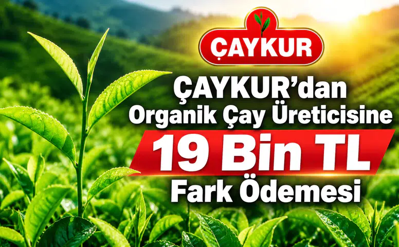 ÇAYKUR’dan Organik Çay Üreticisine 19 Bin TL Fark Ödemesi