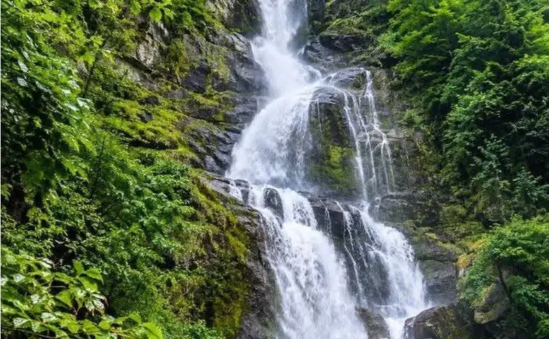 Kalkandere’nin Saklı Güzelliği Çağlayan Şelalesi Turizme Kazandırılmayı Bekliyor