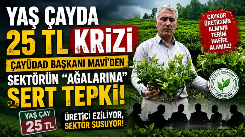 ÇAYKUR kontenjan uygulaması tartışmaları alevlendi: "Üreticinin emeği heba oluyor!"