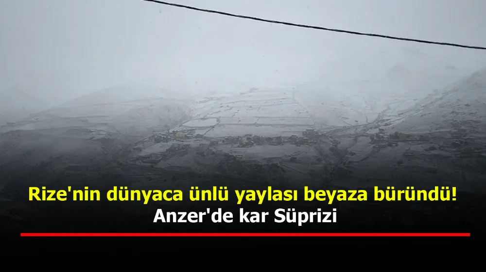 Rize