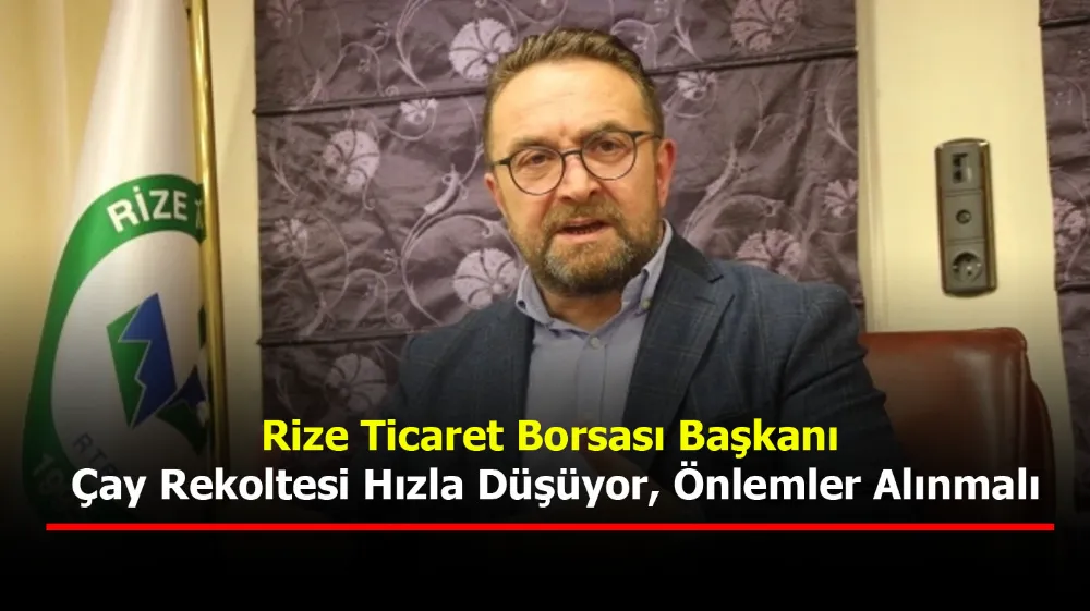 Rize Ticaret Borsası Başkanı: Çay Rekoltesi Hızla Düşüyor, Önlemler Alınmalı