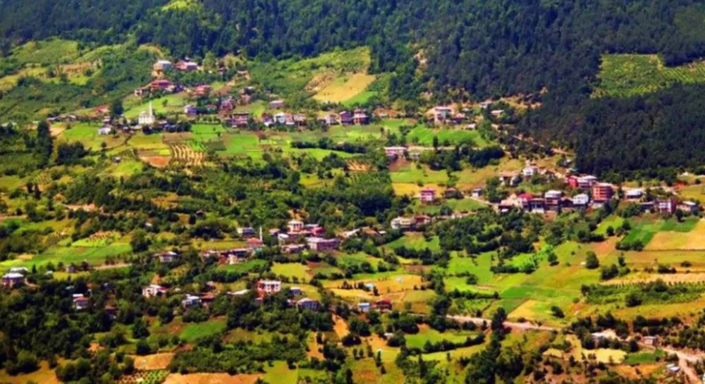 Tütüncüler Köyü, Artvin Merkeze Örnek Oluyor