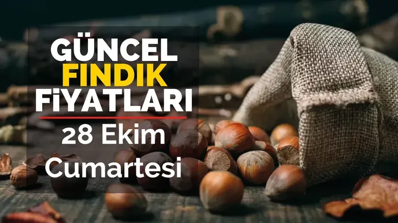 28 Ekim Cumartesi Güncel Fındık Fiyatları