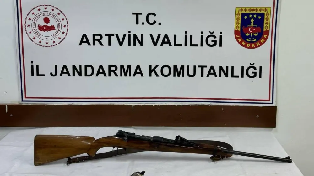 Artvin Borçka İlçesi