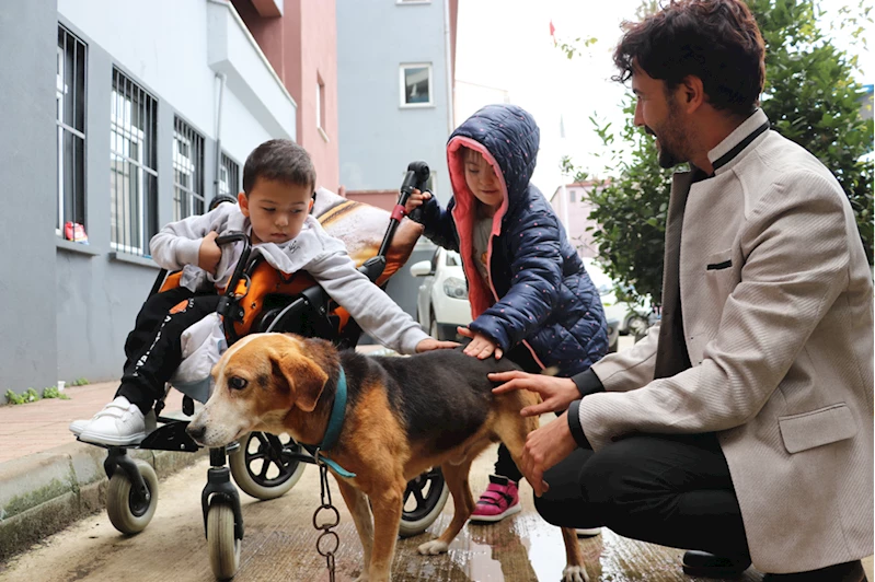 Gözleri görmeyen köpeğe öğretmenler ve özel eğitim öğrencileri sahip çıktı