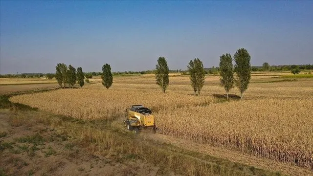 Mazot Gübre Desteği ödemeleri yapıldı mı?