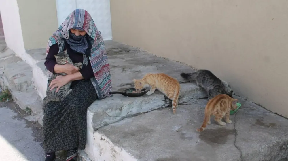 Bayburtlu kadın 50 yıldır sahipsiz hayvanlara gözü gibi bakıyor