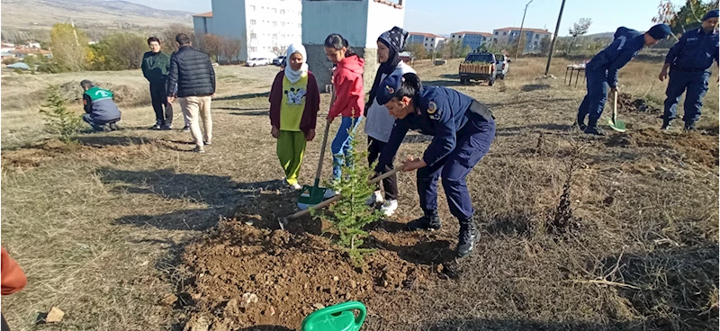 Milli Ağaçlandırma Günü