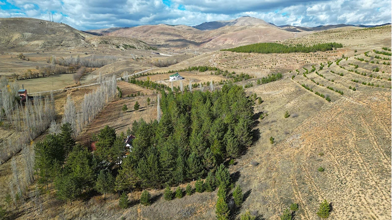 Bayburt