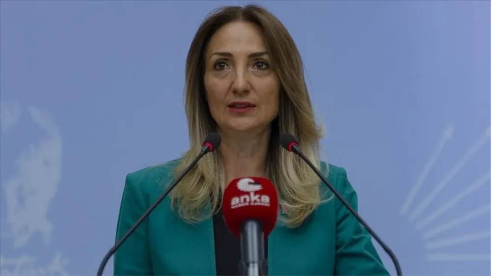 Aylin Nazlıaka Kimdir, kaç yaşında, nereli, nerenin milletvekili?