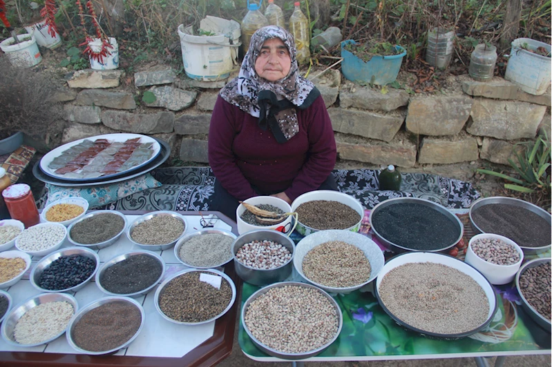 Ata mirası tohumları gelecek nesillere aktarmak için çaba gösteriyor