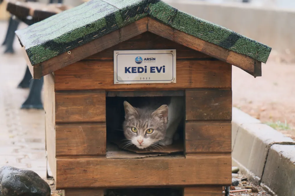 Arsin Belediyesi Ahşap Atölyesi, Estetik ve Fonksiyonel Projelerle Değer Katmaya Devam Ediyor