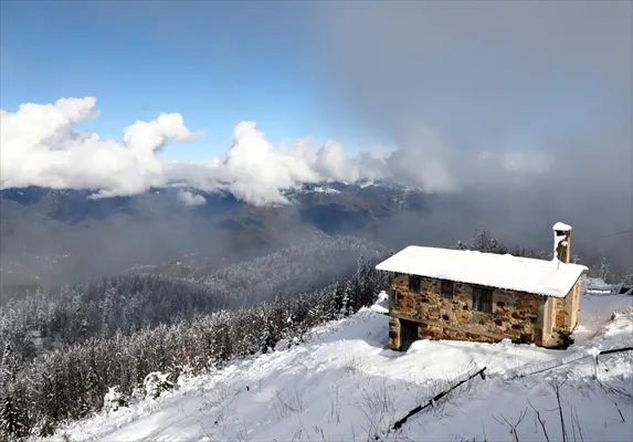 Trabzon ve Rize