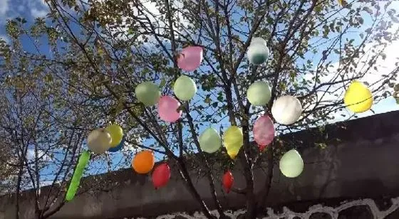 Vanlı çocuklar, ölen Filistinli akranları için ağaçlara balon astı