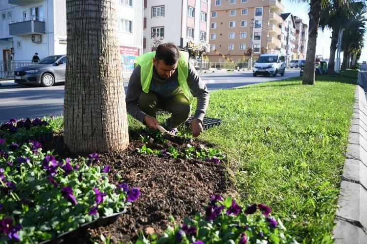 Çayırova Park ve Bahçeler