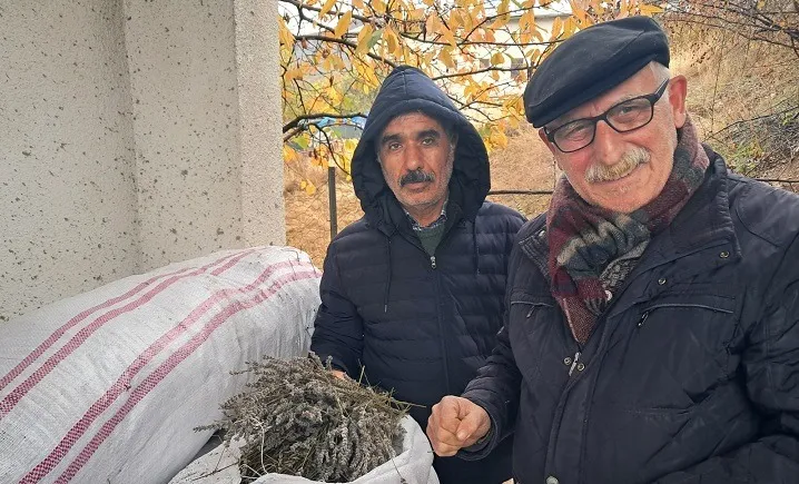 Artvin Ardanuç’ta kadın girişimi kooperatifi lavanta yağı üretmeye başladı