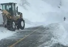 Ardahan-Artvin Kara Yolu Ağır Tonajlı Araçlara Kapandı