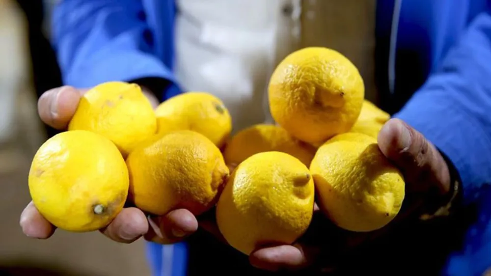 Limonda fiyat farkı yüzde 548